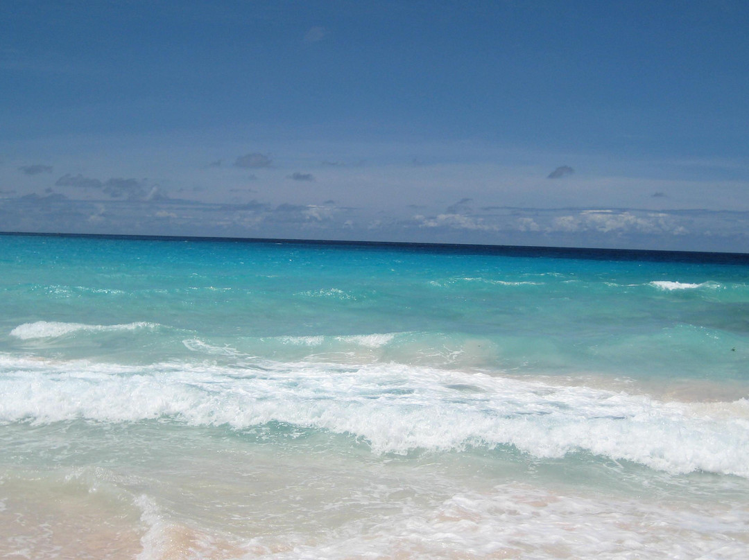 Rockley Beach-基督城必去景点