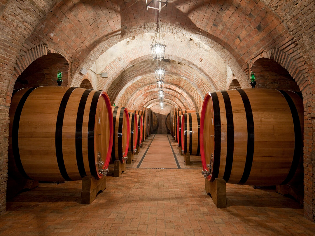 Cantina Fattoria della Talosa-蒙特普尔恰诺必去景点