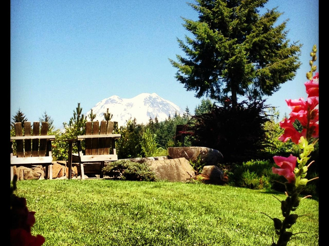 Rainier Mountain Lodge