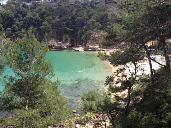Platja Cala Aiguablava景点图片