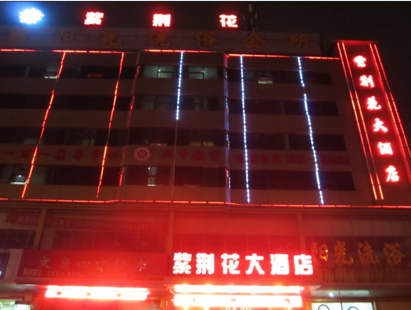 紫荆花大酒店主图