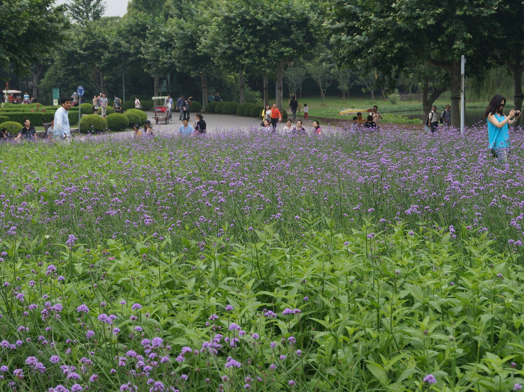世纪公园-上海市必去景点