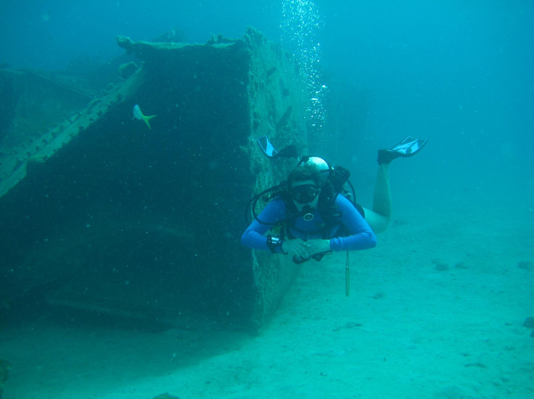 St. Thomas Dive Center-Bolongo Bay必去景点