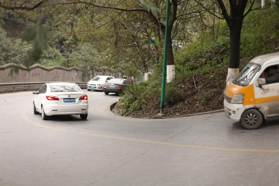 歌乐山森林公园景点图片