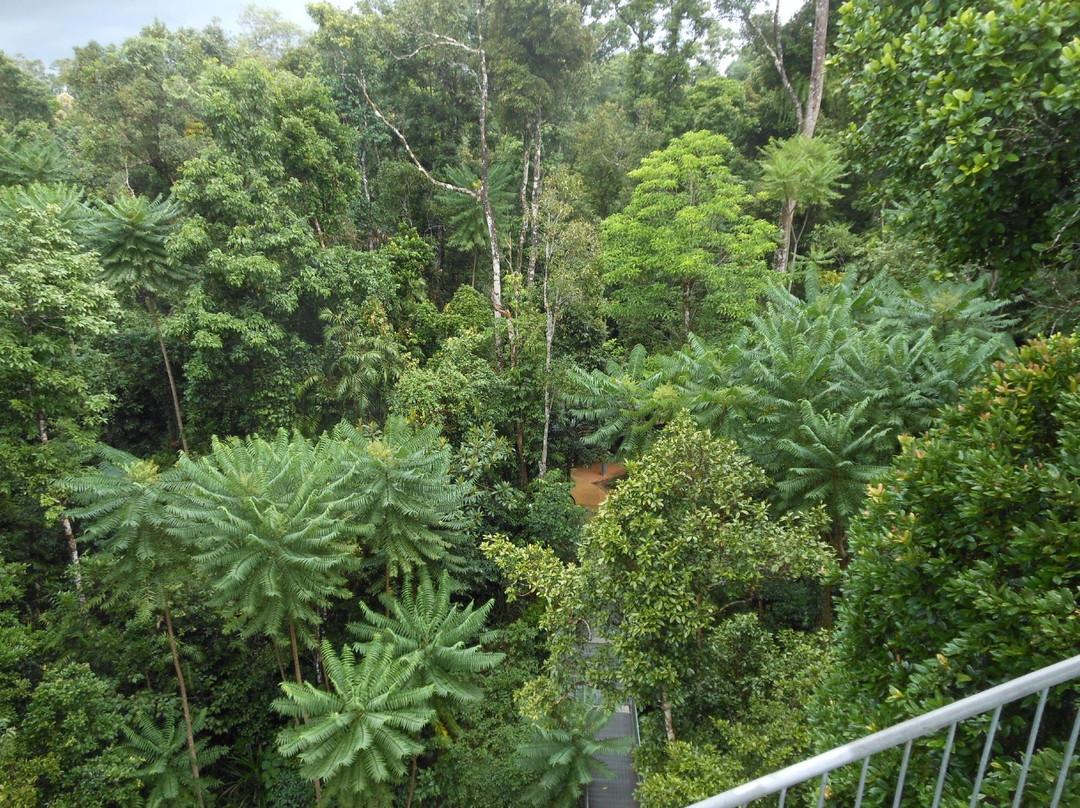 Mamu Tropical Skywalk