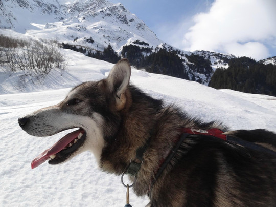 Turning Heads Kennel-苏厄德必去景点
