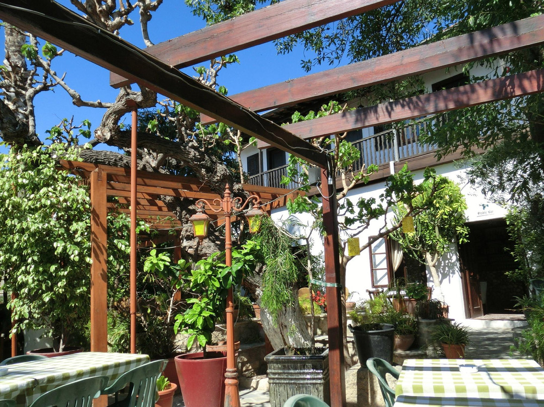 Bunch of Grapes Inn Hotel主图