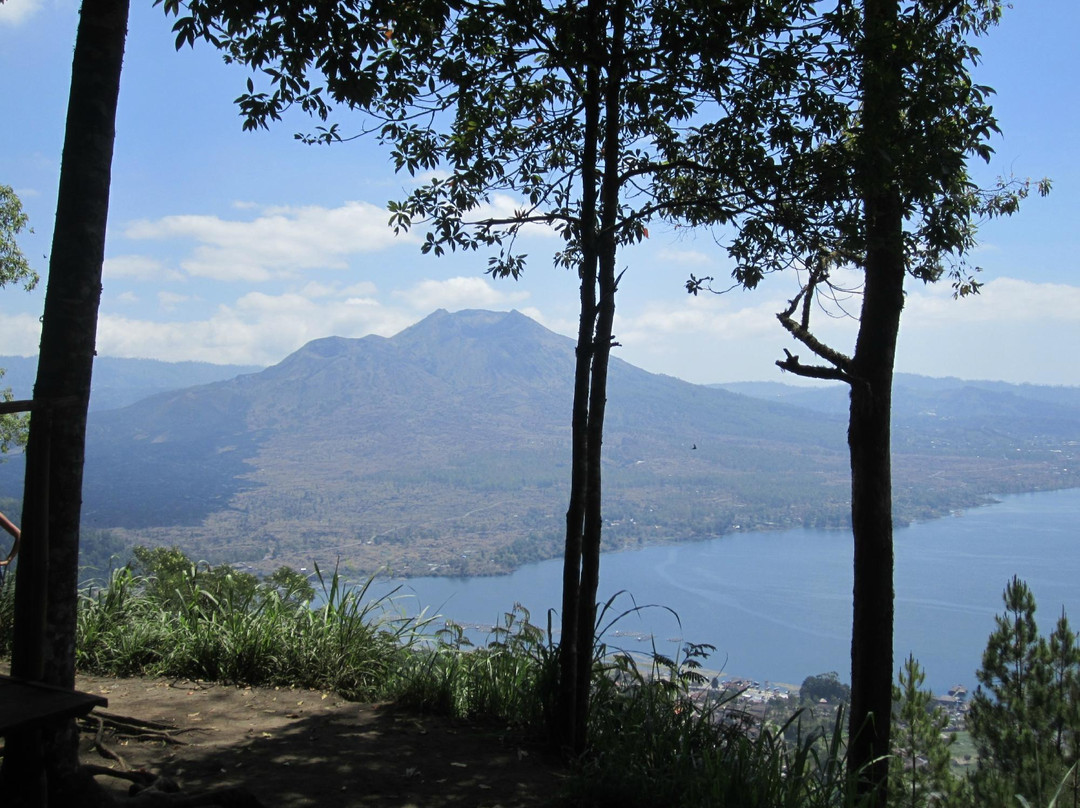 Bali Cycling Tours - Bali Moon Group景点图片