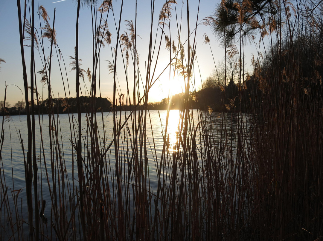 Oak Grove Lake Park景点图片