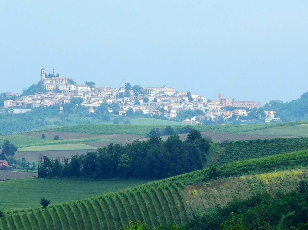 Vignale Monferrato旅游攻略图片