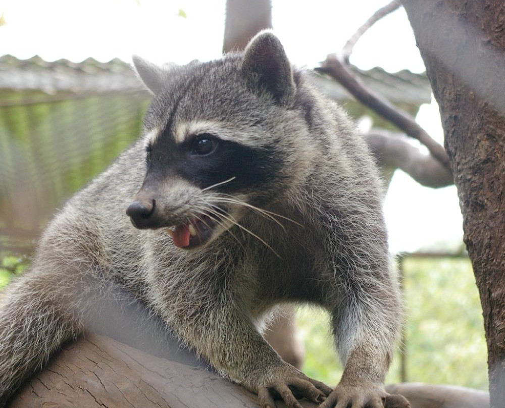 Life Time Tours of Costa Rica - Day Tours-Playa Matapalo必去景点