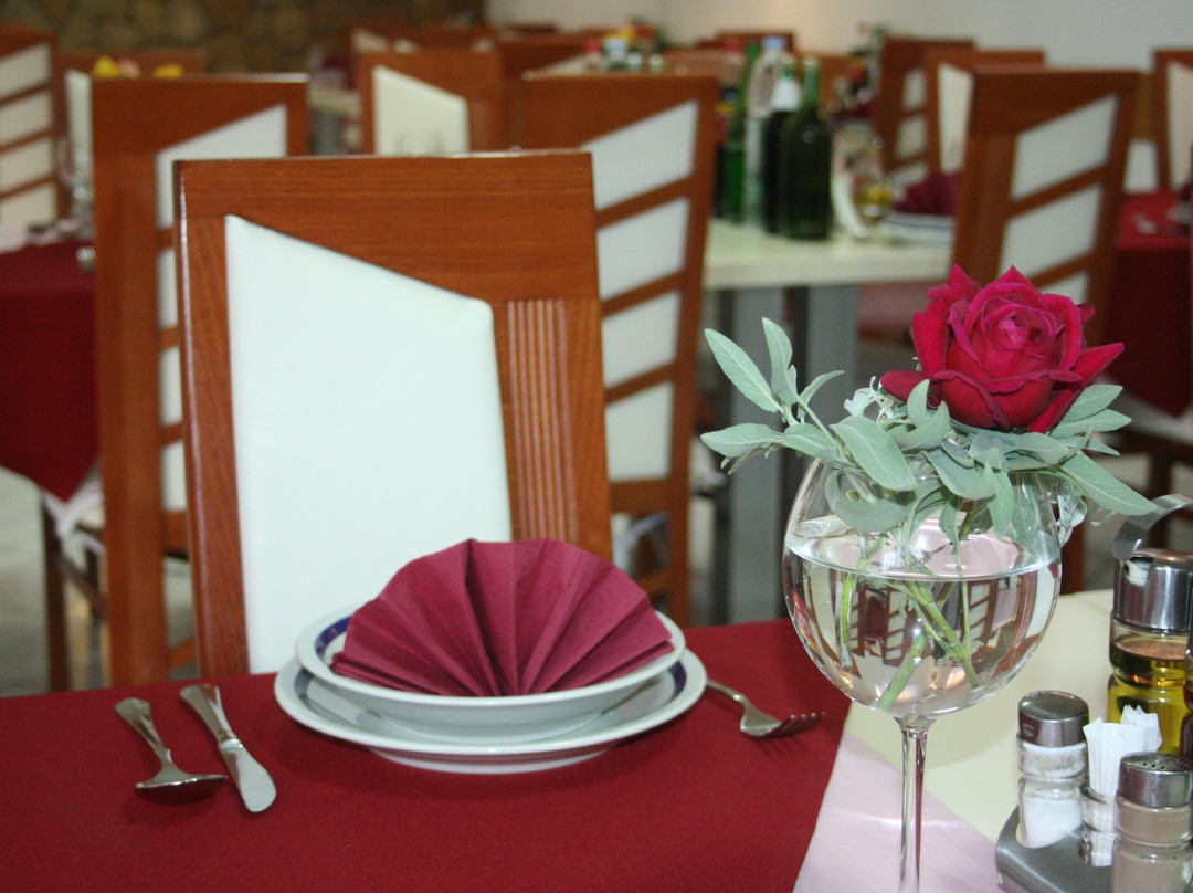 Pansion Family主图