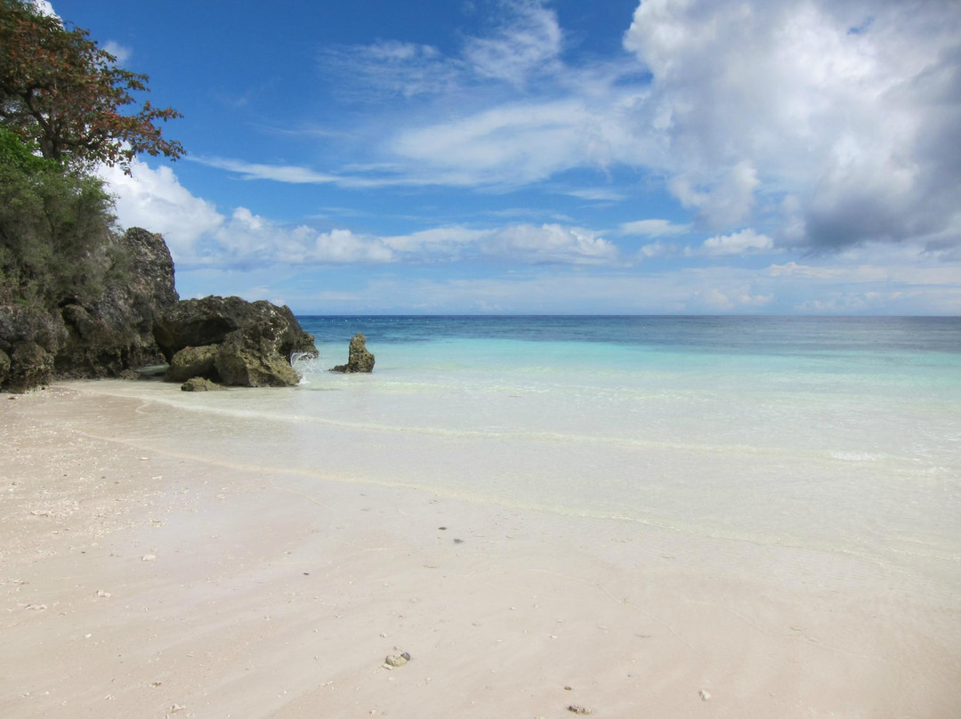 Freedive-Panglao-邦劳岛必去景点
