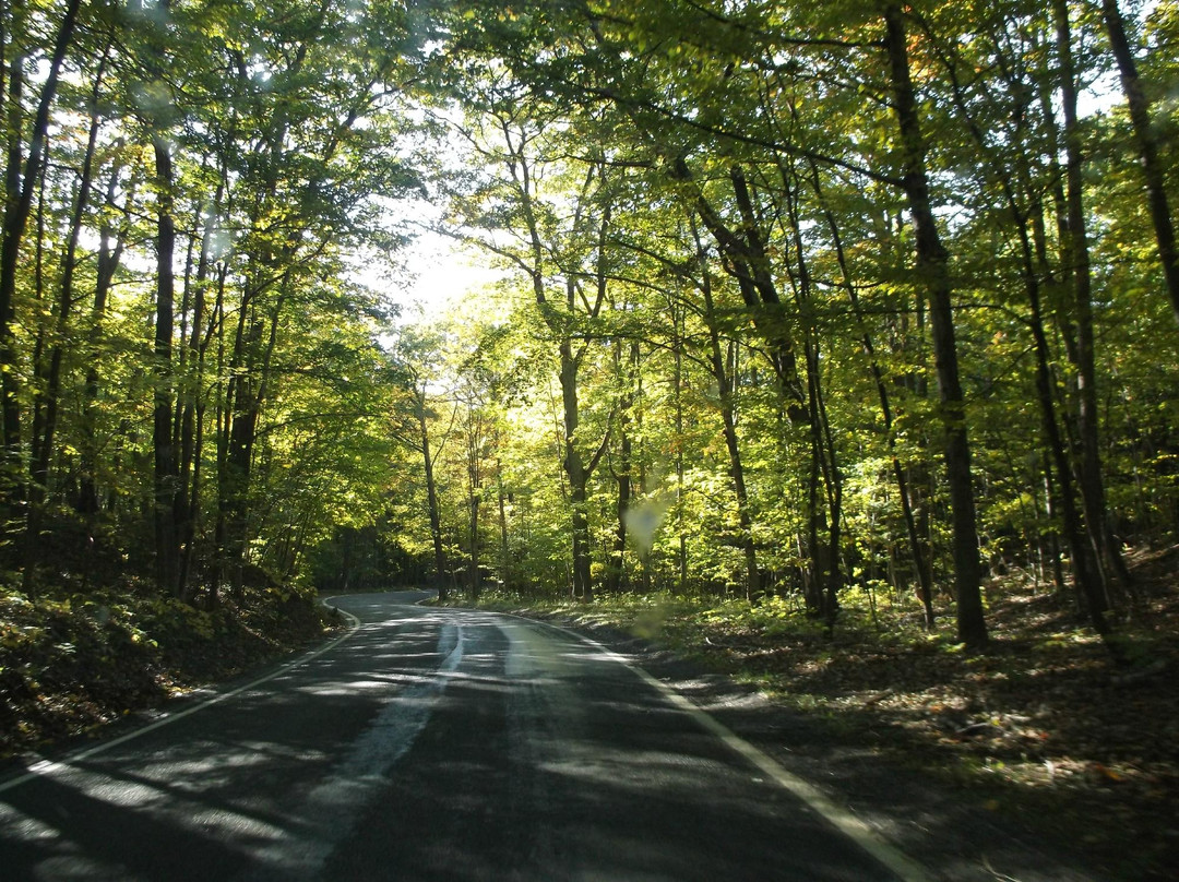 Tunnel of Trees - M119-Harbor Springs必去景点