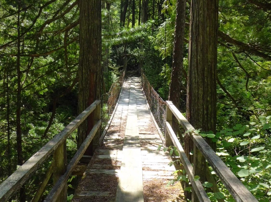 Ushigataki Waterfall景点图片