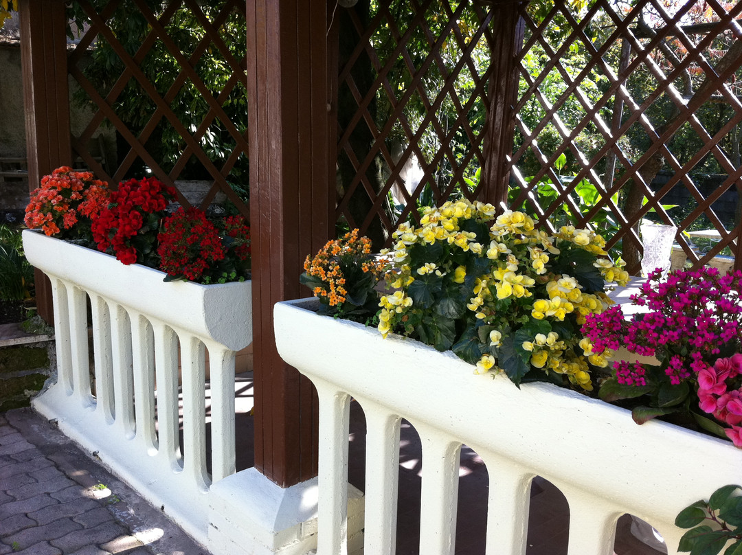 Labico酒店住宿-B&B Magic Garden