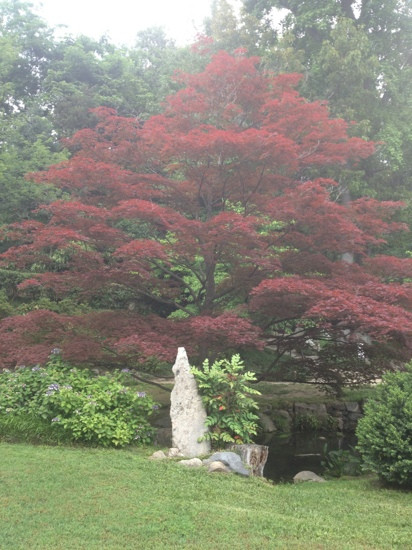 梅蒙德庄园-里士满必去景点