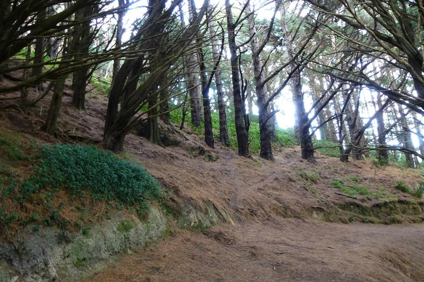 Wellington Rings Tours景点图片