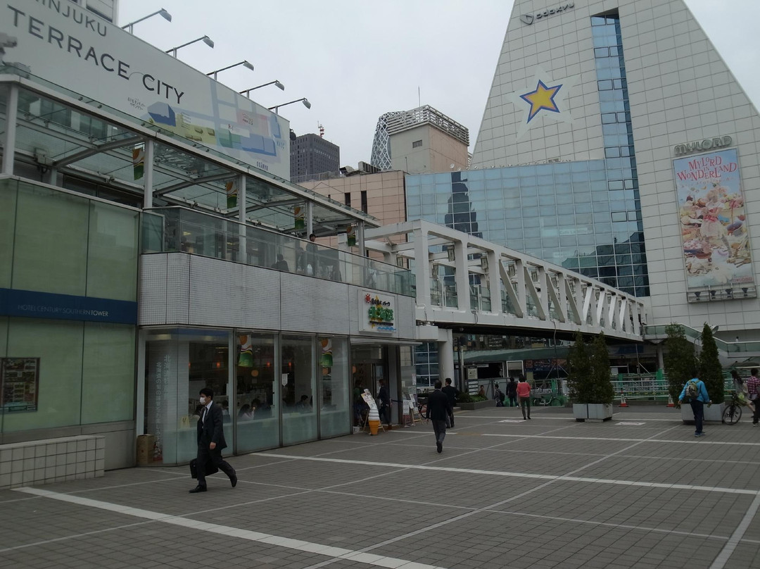 新宿南阳光广场-Yoyogi必去景点