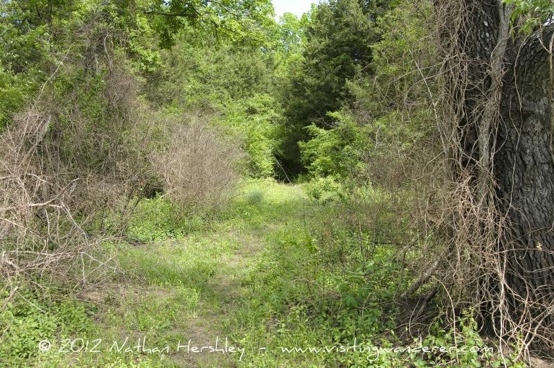 Prairie Park Nature Center-劳伦斯必去景点