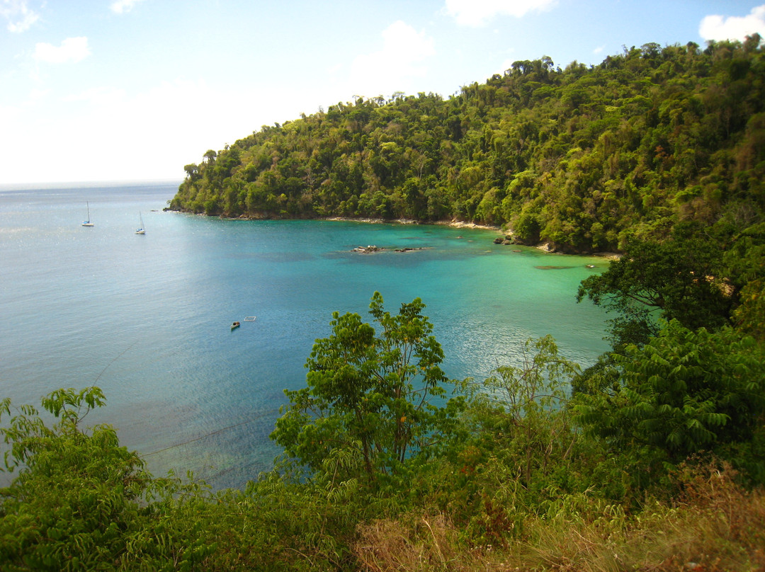 Pirate's Bay-Northeast Coast必去景点