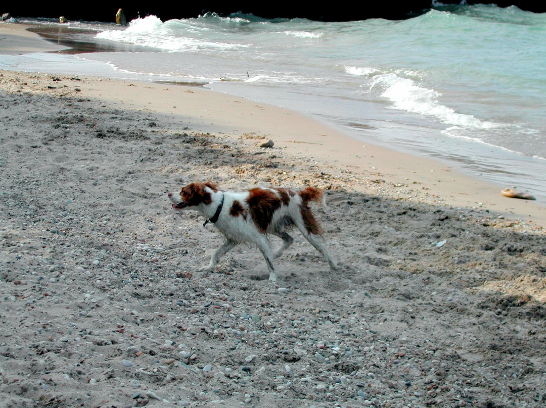 Moraine Park-Highland Park必去景点