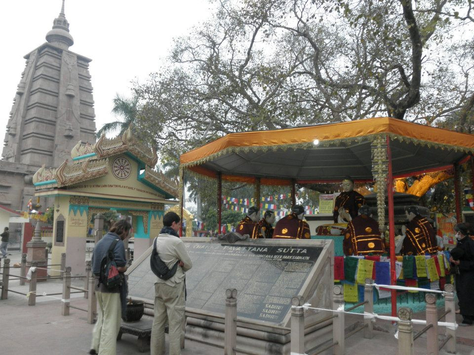 鹿野苑景点图片