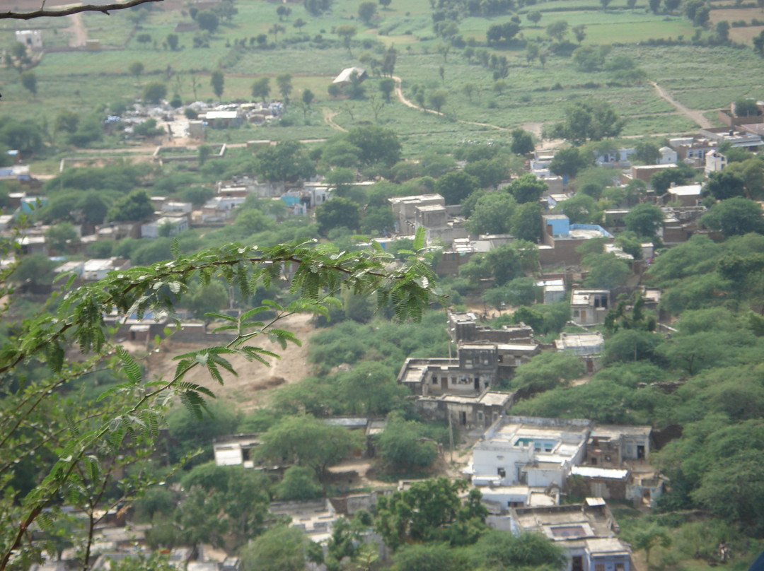 Flying Fox Neemrana景点图片