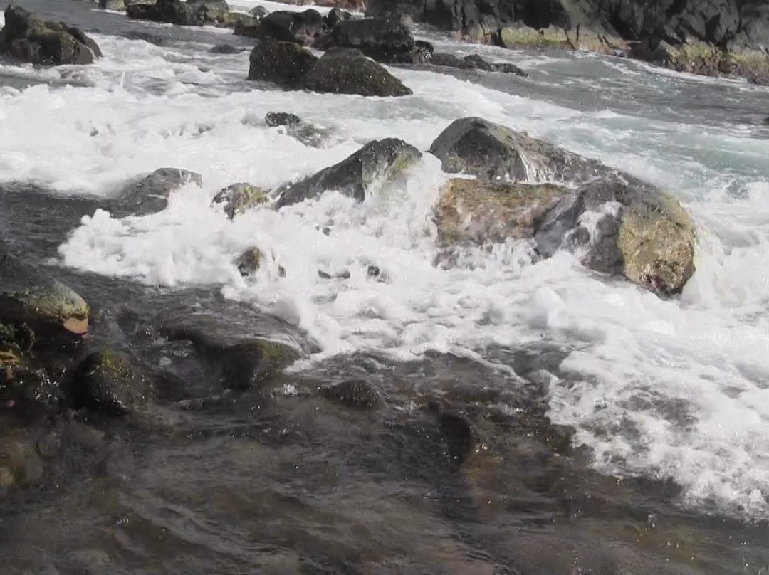 Madagascar Aruba Adventures-奥腊涅斯塔德必去景点