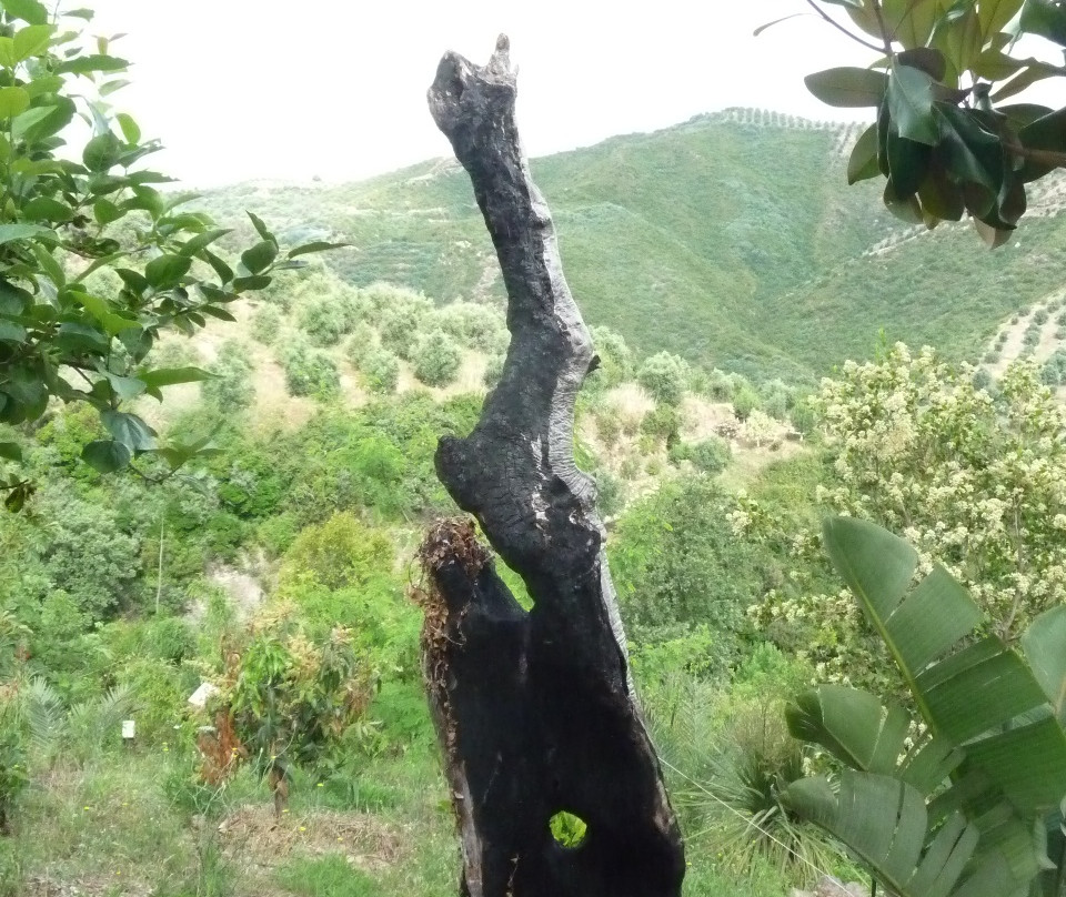Botanical  Gardens Of Crete景点图片