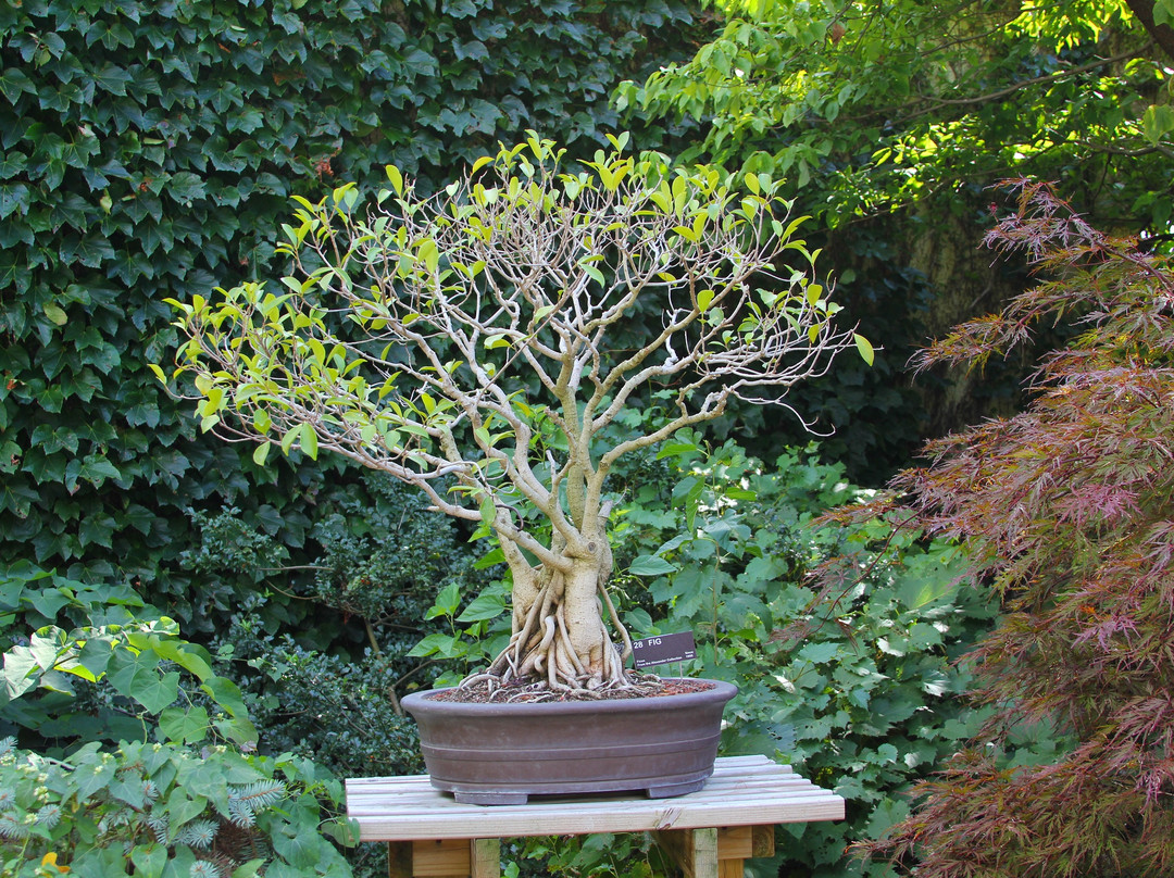 Greater Des Moines Botanical Garden景点图片