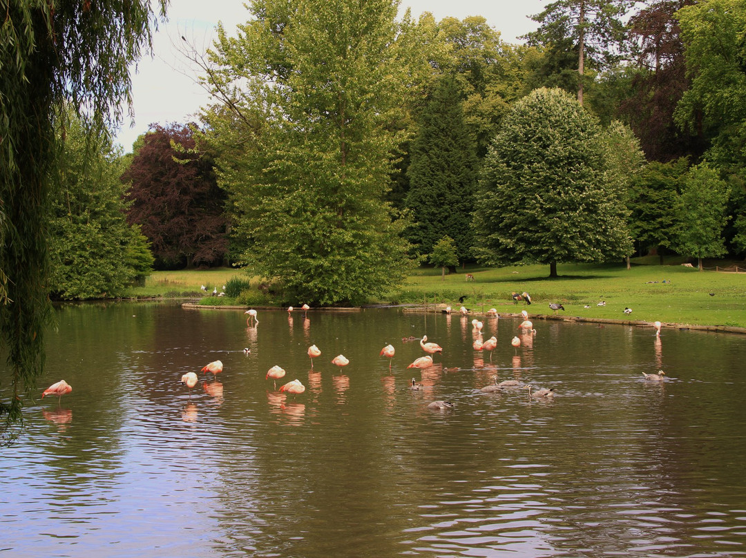 Le Parc de Clères景点图片