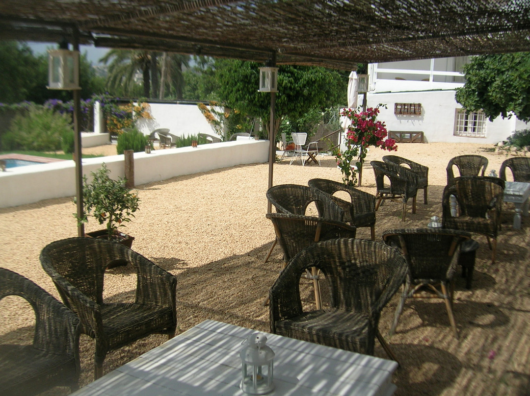 El Pi del Senyoret主图