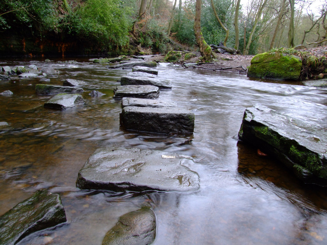 Rivelin Valley Nature Trail-谢菲尔德必去景点
