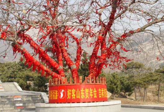 新泰莲花山-新泰市必去景点