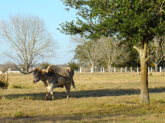 乔治农场-Richmond必去景点