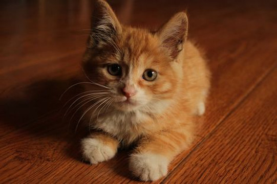 三里屯(华通)国际青年旅舍主图