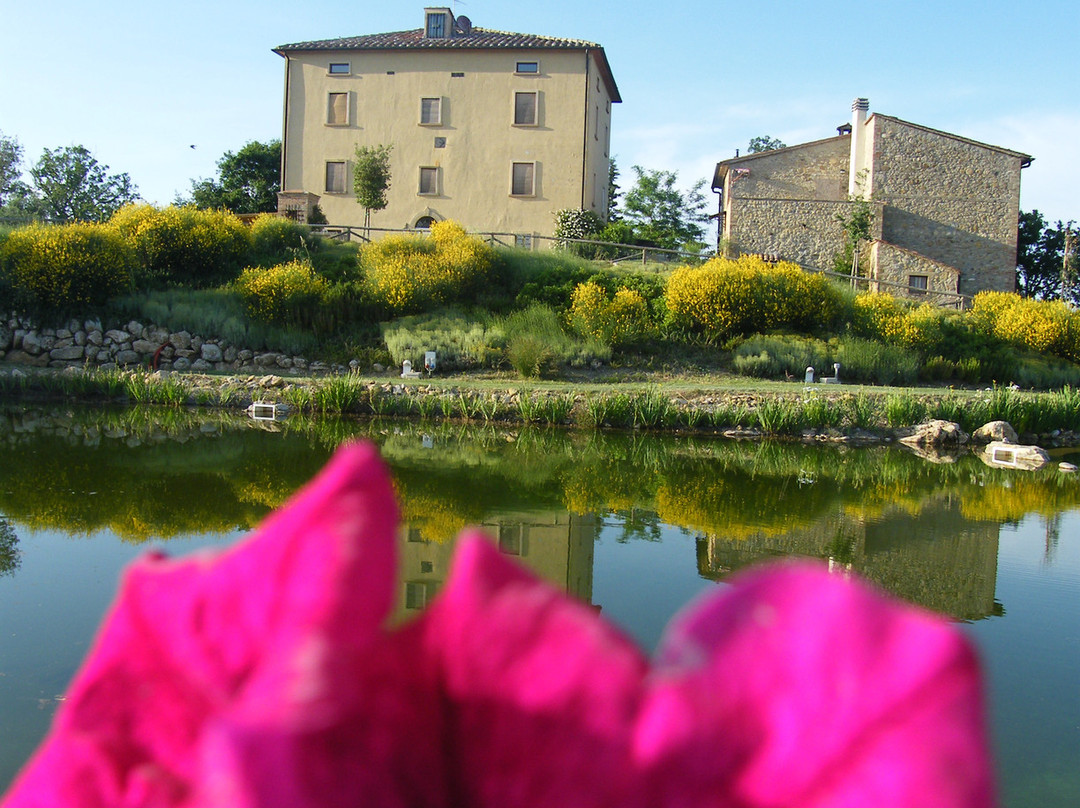 Fattoria San Paolo Agriturismo