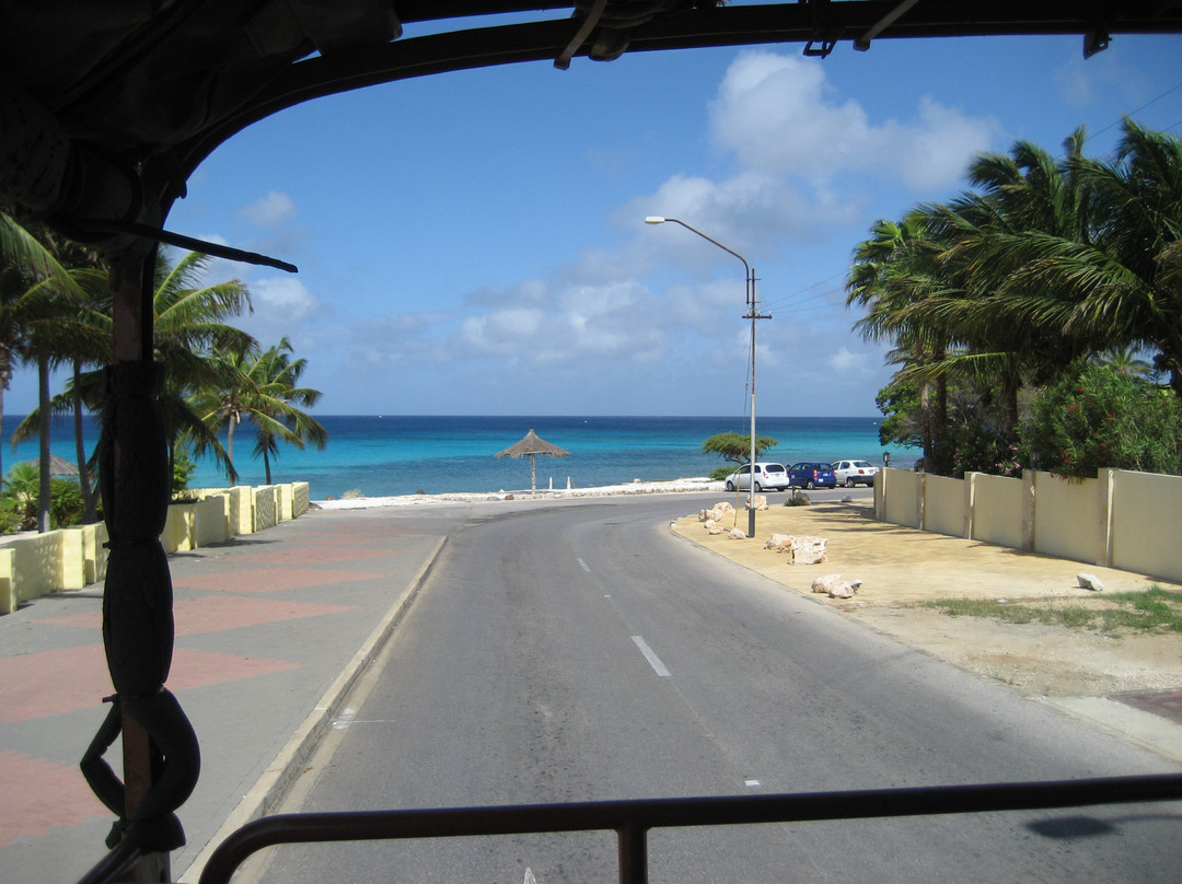 Madagascar Aruba Adventures-奥腊涅斯塔德必去景点