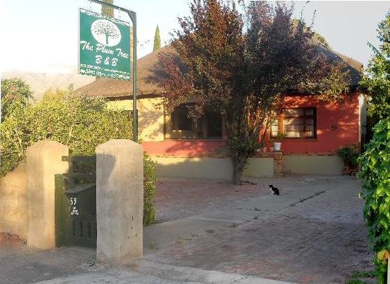 The Plum Tree B&B主图