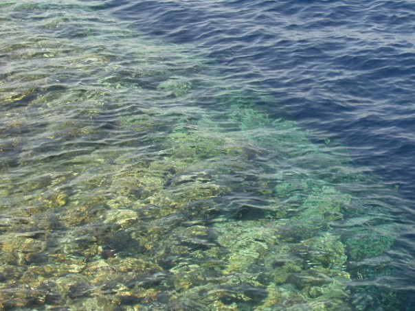 Elphinstone Reef-马萨阿拉姆必去景点