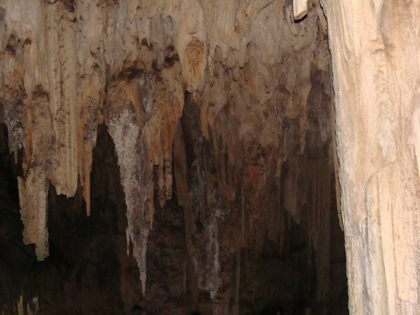 Cueva de la Pileta景点图片