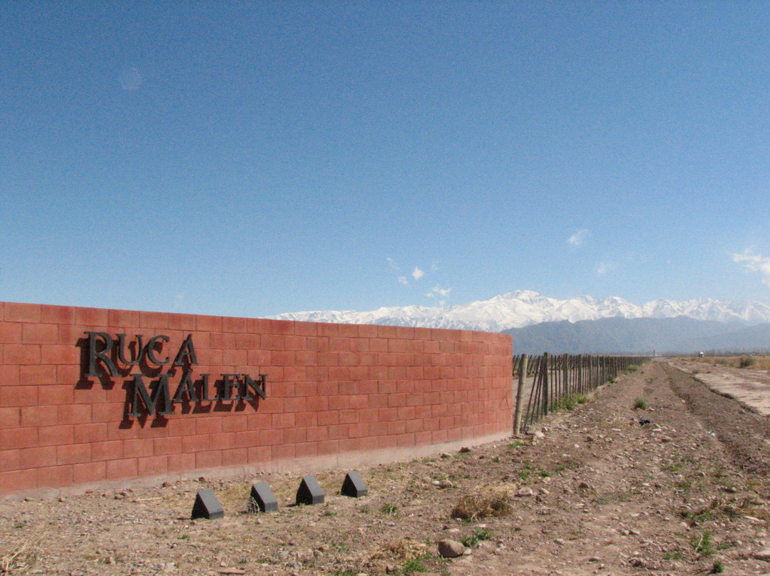 Bodega Ruca Malen景点图片