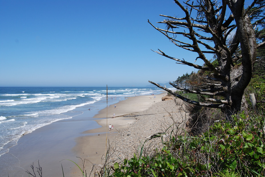 Cape Lookout State Park-蒂拉穆克必去景点