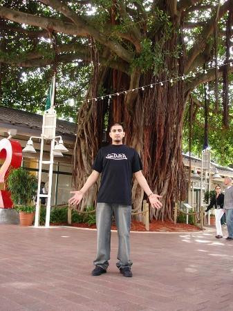 海湾市场-迈阿密必去景点