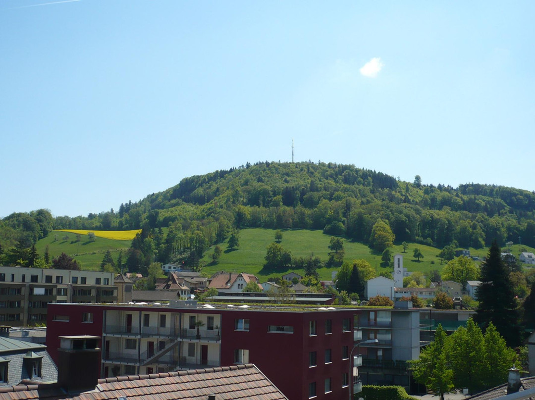 Murg餐馆和美食-Taverne zum Adler