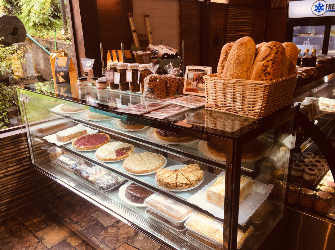 Panguipulli餐馆和美食-La Felsinea