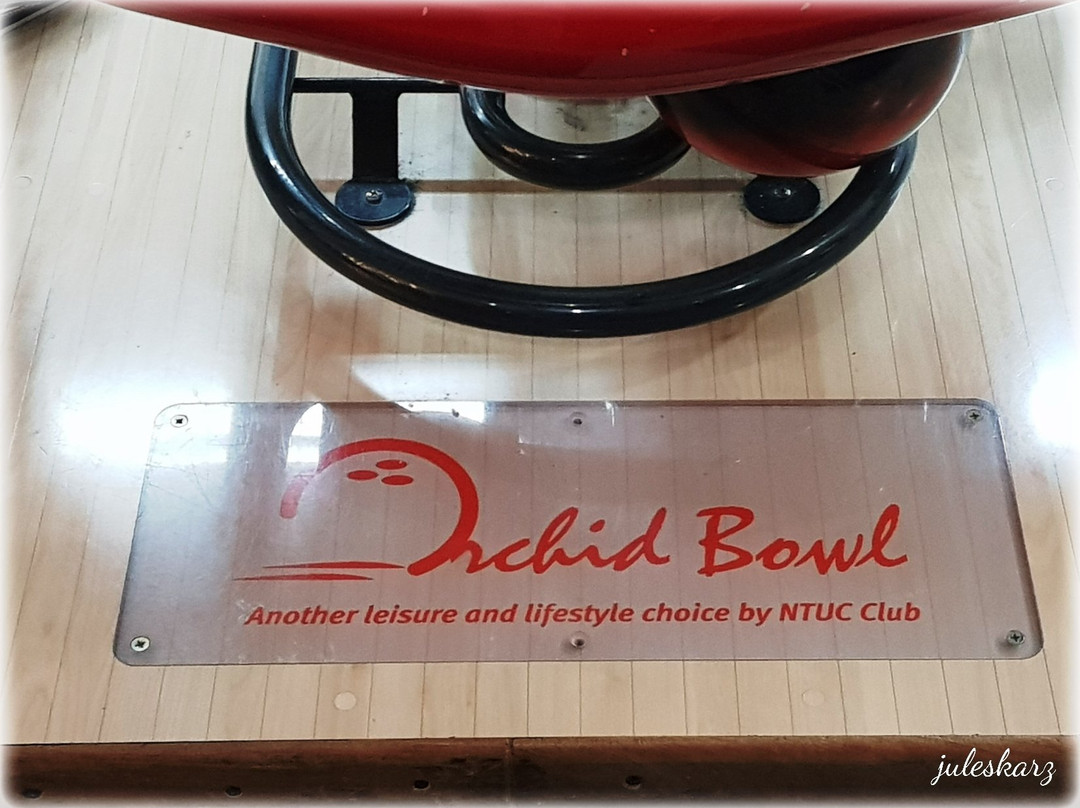 Orchid Bowl-新加坡必去景点