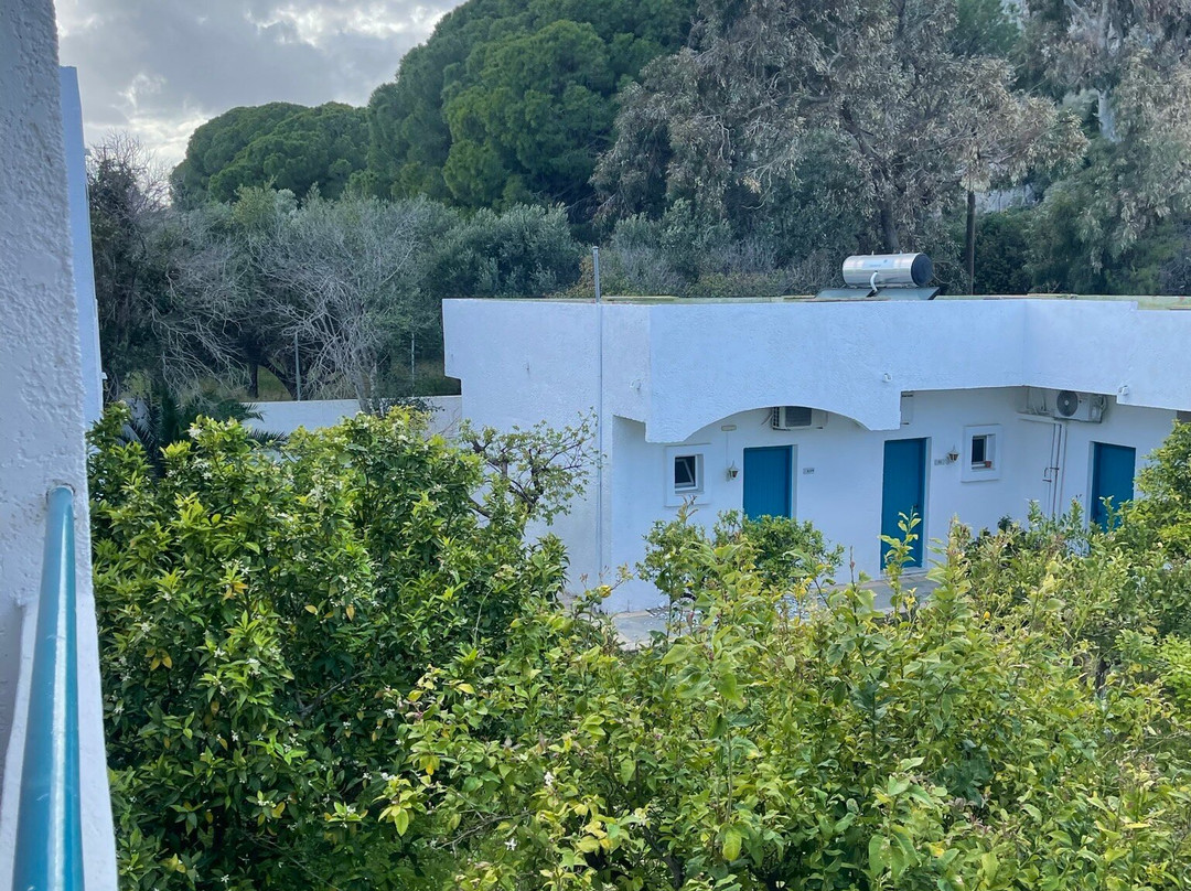 Ladikos Garden主图