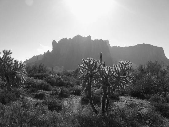 Lost Dutchman State Park景点图片